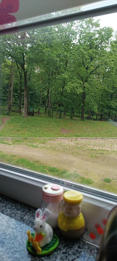 Апартаменти Truskavec' Esterno foto